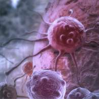 Гель Клареол предупреждает развитие рака