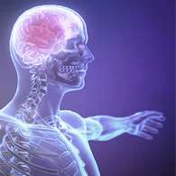 Средство Сонилюкс восстанавливает работу центральной нервной системы